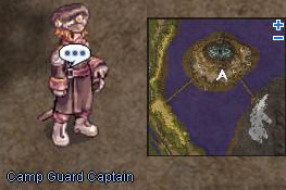 ffq_camp_guard_captain.jpg