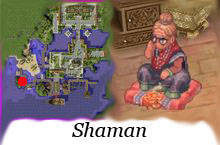npc_shaman.jpg