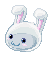p_rabbiring.gif