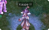 s_kaupe.gif